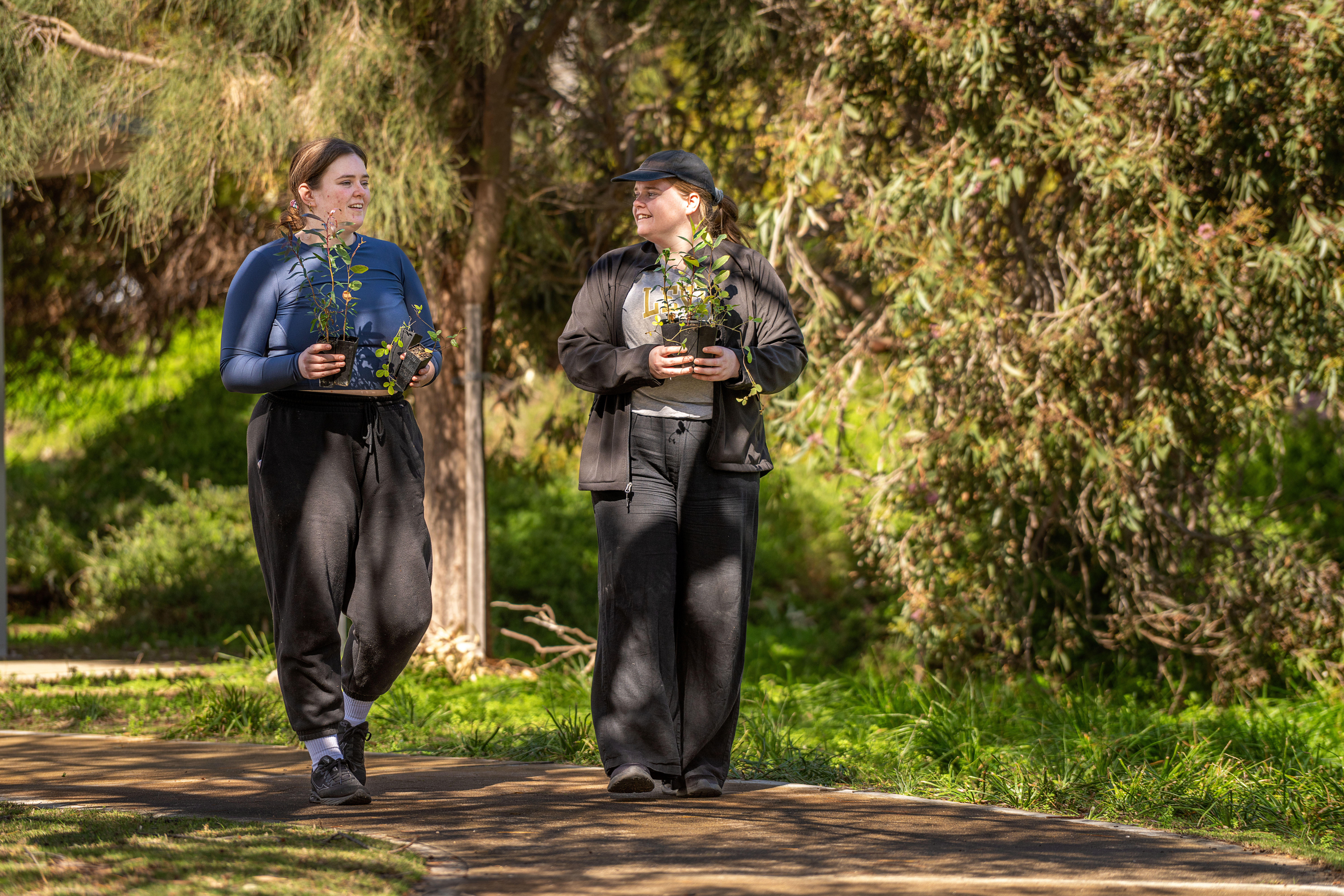 Two people carrying potted seedlings walk along a bushland path